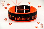 0166 HB Debbie w