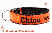 B254 HB Chico w