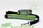 B134-1 Welpenset X-Faktor minze w